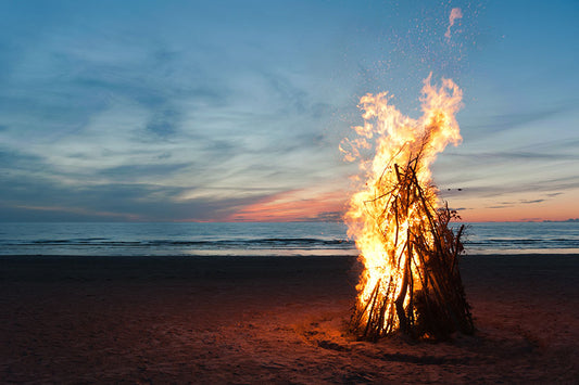 Beachside Bonfire Adventure with KLEAR Magic: A Culinary Quest with Blue Oyster Mushrooms