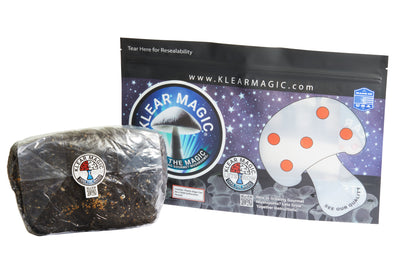 KLEAR Magic | All-In-One Mushroom Grow kit | 3lb Substrate and Grain Combo